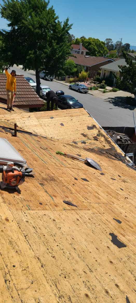 Gallery photos for Seamless Roof Transformation With Solar Efficiency: Image #1